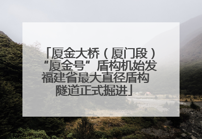 厦金大桥（厦门段）“厦金号”盾构机始发 福建省最大直径盾构隧道正式掘进