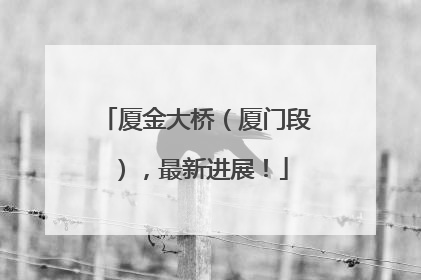 厦金大桥（厦门段），最新进展！