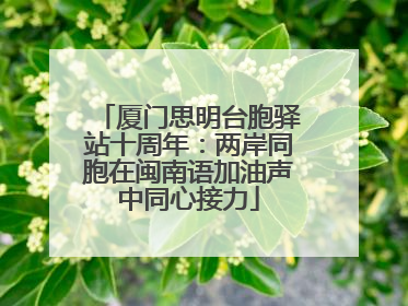 厦门思明台胞驿站十周年：两岸同胞在闽南语加油声中同心接力
