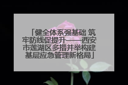 健全体系强基础 筑牢防线促提升——西安市莲湖区多措并举构建基层应急管理新格局