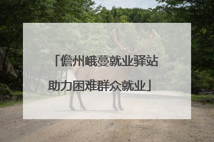 儋州峨蔓就业驿站助力困难群众就业