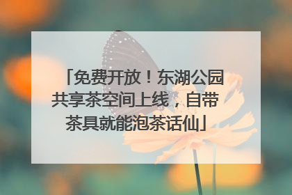 免费开放！东湖公园共享茶空间上线，自带茶具就能泡茶话仙