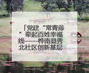 党建“常青藤”牵起百姓幸福线——桦南县秀北社区创新基层治理纪实