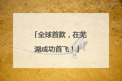 全球首款，在芜湖成功首飞！