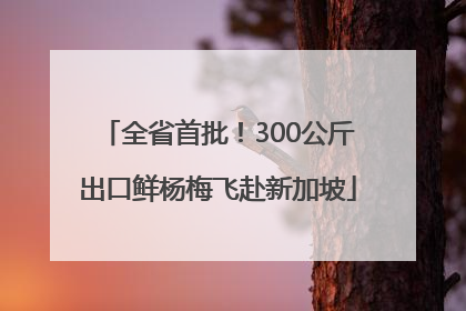 全省首批！300公斤出口鲜杨梅飞赴新加坡