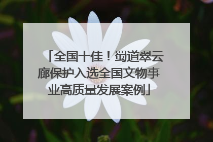 全国十佳！蜀道翠云廊保护入选全国文物事业高质量发展案例