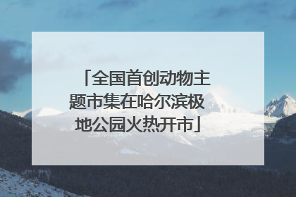 全国首创动物主题市集在哈尔滨极地公园火热开市