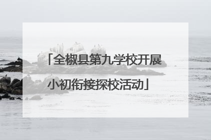 全椒县第九学校开展小初衔接探校活动