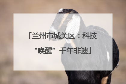兰州市城关区：科技“唤醒”千年非遗