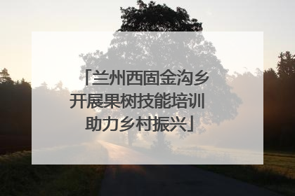 兰州西固金沟乡开展果树技能培训 助力乡村振兴