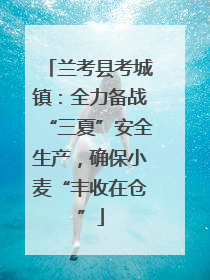 兰考县考城镇：全力备战“三夏”安全生产，确保小麦“丰收在仓”