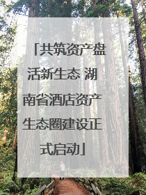 共筑资产盘活新生态 湖南省酒店资产生态圈建设正式启动
