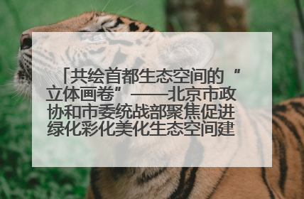 共绘首都生态空间的“立体画卷”——北京市政协和市委统战部聚焦促进绿化彩化美化生态空间建设联合协商议政