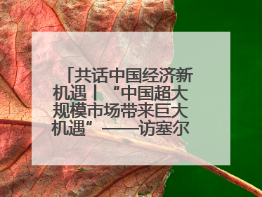 共话中国经济新机遇丨“中国超大规模市场带来巨大机遇”——访塞尔维亚经济部国务秘书尼科利奇