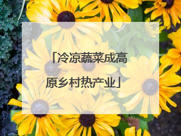 冷凉蔬菜成高原乡村热产业