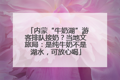 内蒙“牛奶湖”游客排队接奶？当地文旅局：是纯牛奶不是湖水，可放心喝