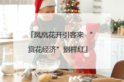 凤凰花开引客来 “赏花经济”别样红