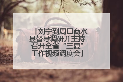刘宁到周口商水县督导调研并主持召开全省“三夏”工作视频调度会