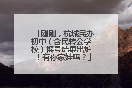 刚刚，杭城民办初中（含民转公学校）摇号结果出炉！有你家娃吗？
