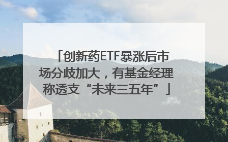 创新药ETF暴涨后市场分歧加大，有基金经理称透支“未来三五年”