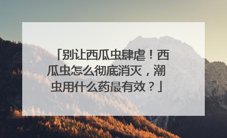 别让西瓜虫肆虐！西瓜虫怎么彻底消灭，潮虫用什么药最有效？