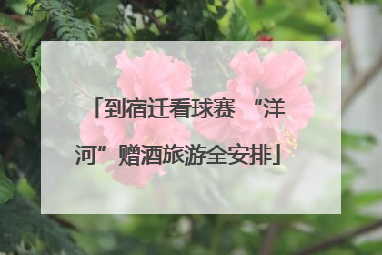 到宿迁看球赛 “洋河”赠酒旅游全安排