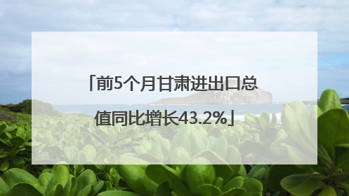 前5个月甘肃进出口总值同比增长43.2%