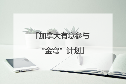 加拿大有意参与“金穹”计划