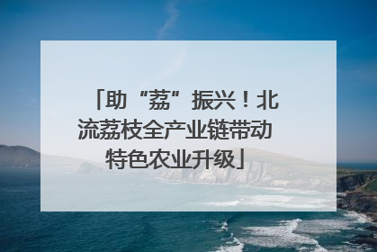 助“荔”振兴！北流荔枝全产业链带动特色农业升级