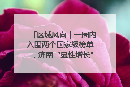 区域风向｜一周内入围两个国家级榜单，济南“显性增长”刷新城市影响力