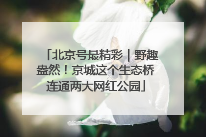 北京号最精彩｜野趣盎然！京城这个生态桥连通两大网红公园