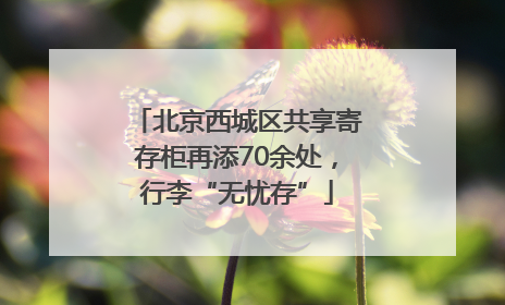 北京西城区共享寄存柜再添70余处，行李“无忧存”
