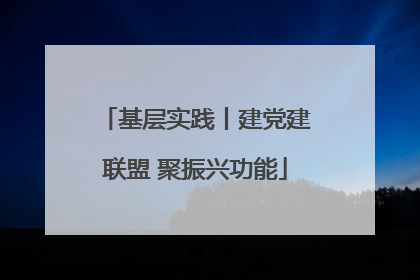 基层实践丨建党建联盟 聚振兴功能