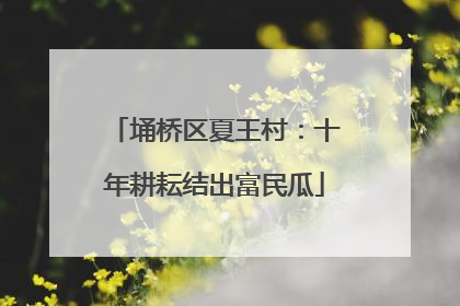 埇桥区夏王村：十年耕耘结出富民瓜