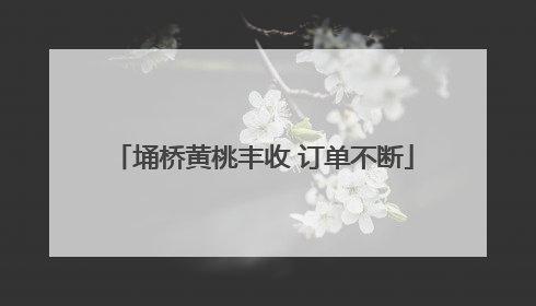 埇桥黄桃丰收 订单不断