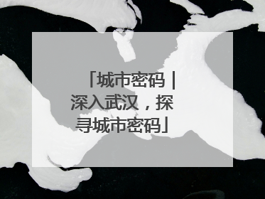 城市密码｜深入武汉，探寻城市密码