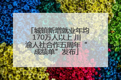 城镇新增就业年均170万人以上 川渝人社合作五周年“成绩单”发布