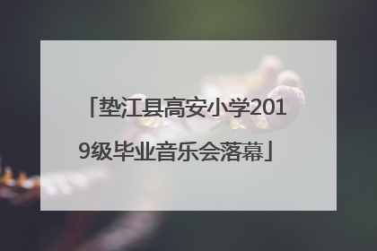 垫江县高安小学2019级毕业音乐会落幕