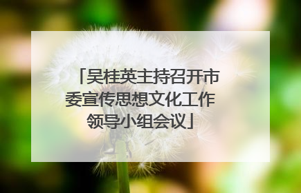 吴桂英主持召开市委宣传思想文化工作领导小组会议