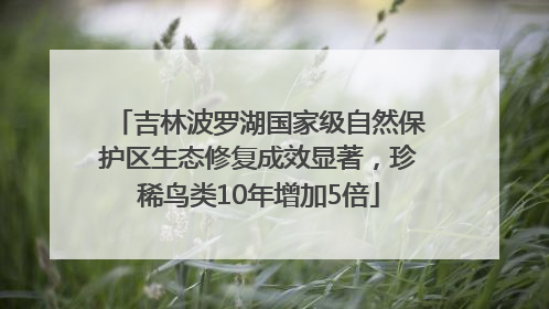 吉林波罗湖国家级自然保护区生态修复成效显著，珍稀鸟类10年增加5倍