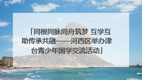 同根同脉同舟筑梦 互学互助传承共融——河西区举办津台青少年国学交流活动