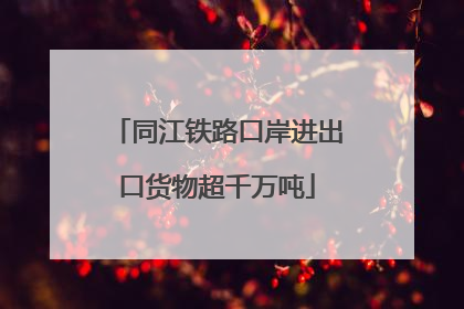 同江铁路口岸进出口货物超千万吨