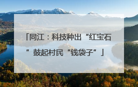 同江：科技种出“红宝石”鼓起村民“钱袋子”