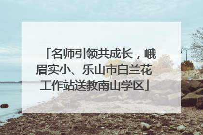 名师引领共成长，峨眉实小、乐山市白兰花工作站送教南山学区