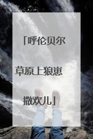 呼伦贝尔草原上狼崽撒欢儿