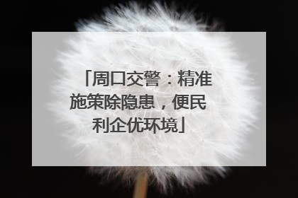 周口交警：精准施策除隐患，便民利企优环境