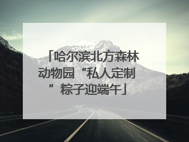 哈尔滨北方森林动物园“私人定制”粽子迎端午