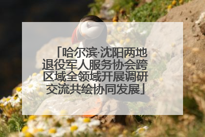 哈尔滨·沈阳两地退役军人服务协会跨区域全领域开展调研交流共绘协同发展