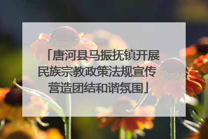 唐河县马振抚镇开展民族宗教政策法规宣传 营造团结和谐氛围