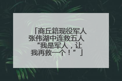 商丘籍现役军人张伟湖中连救五人 “我是军人，让我再救一个！”